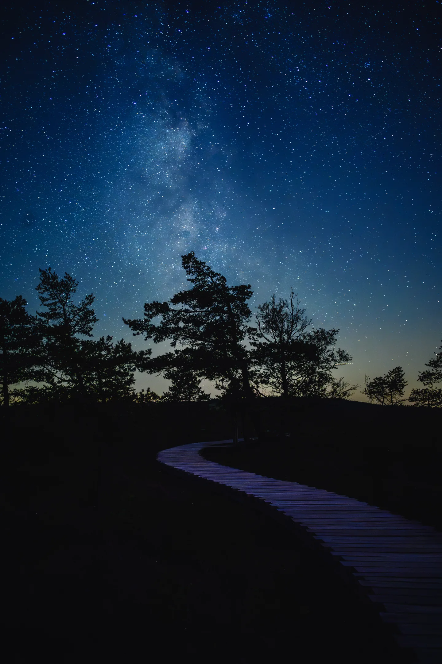 Milky Way above silhouetted pine trees, a wooden boardwalk winding towards them