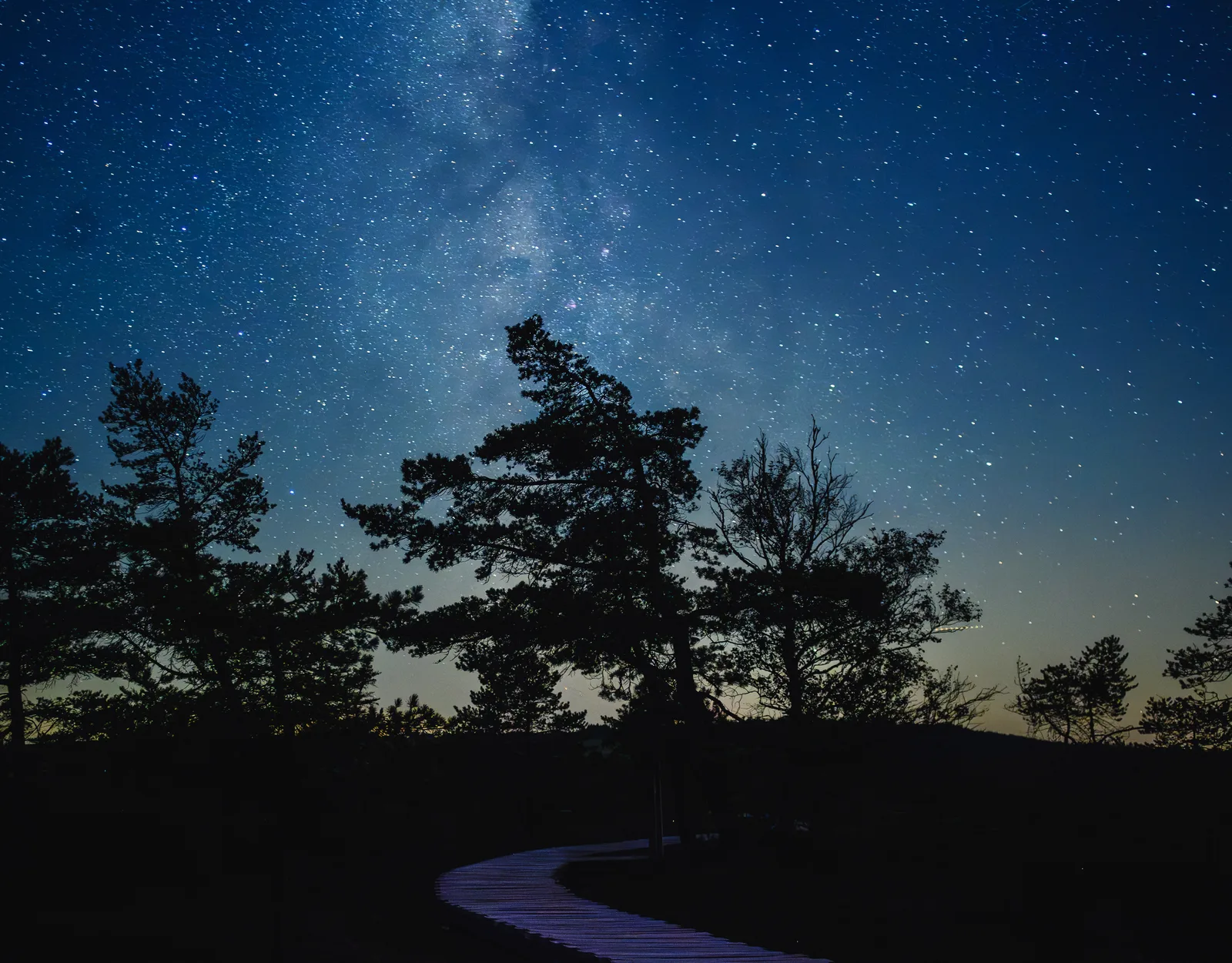 Milky Way above silhouetted pine trees and a curving boardwalk